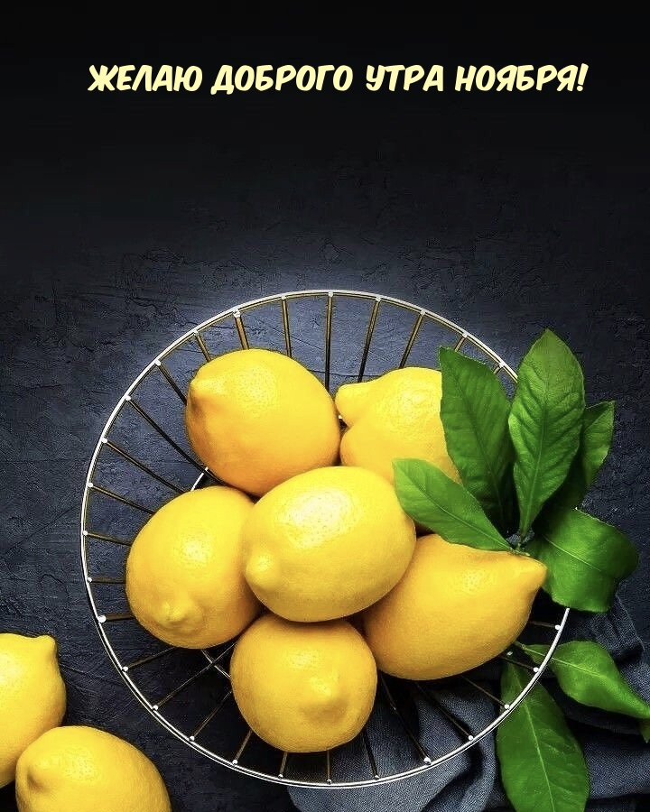 ЖЕЛАЮ ДОБРОГО УТРА НОЯБРЯ!
