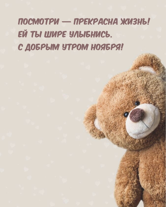 Посмотри — прекрасна жизнь! С добрым утром ноября!