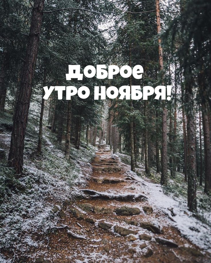 Доброе Утро ноября!