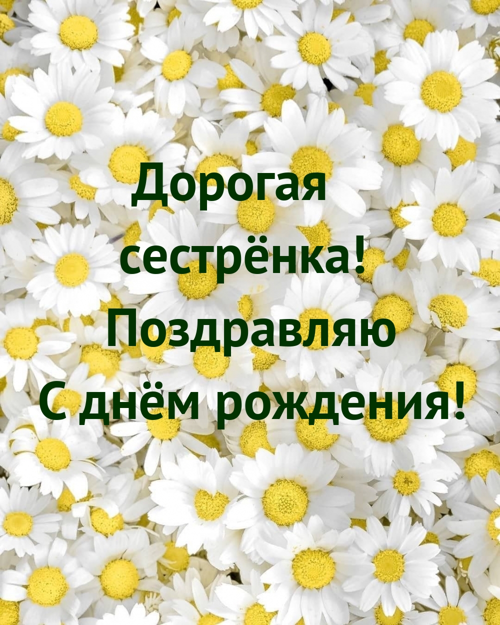 Дорогая сестрёнка! Поздравляю с днём рождения!