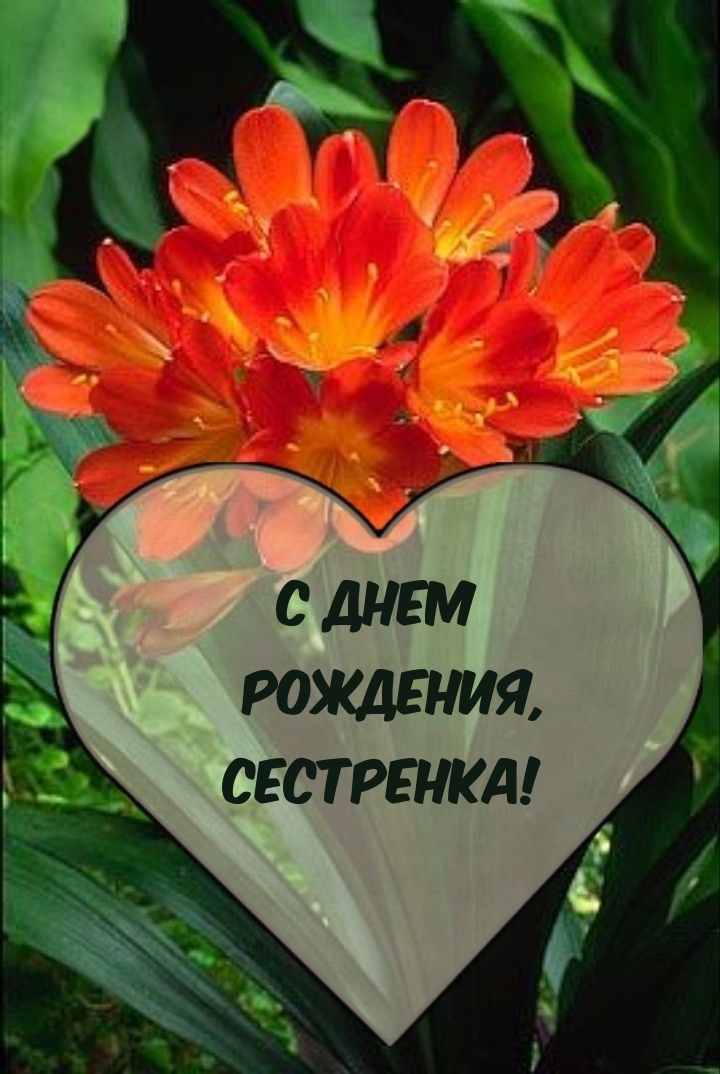 С днем рождения, сестренка!