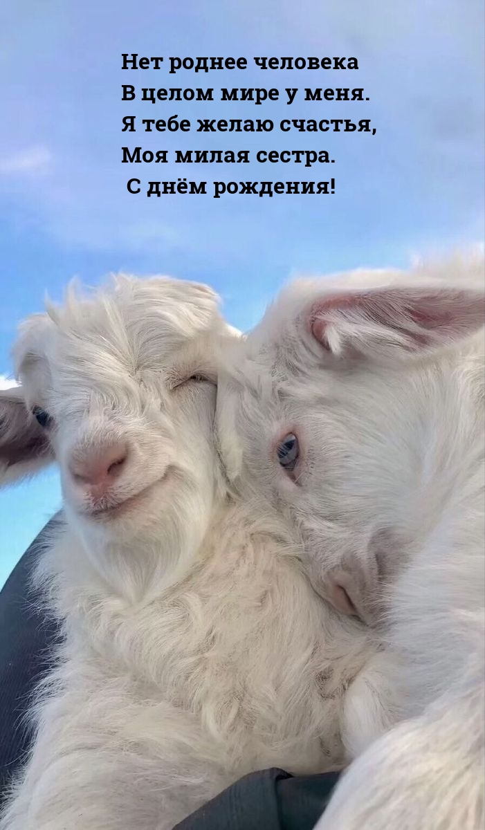 Моя милая сестра. С днём рождения!