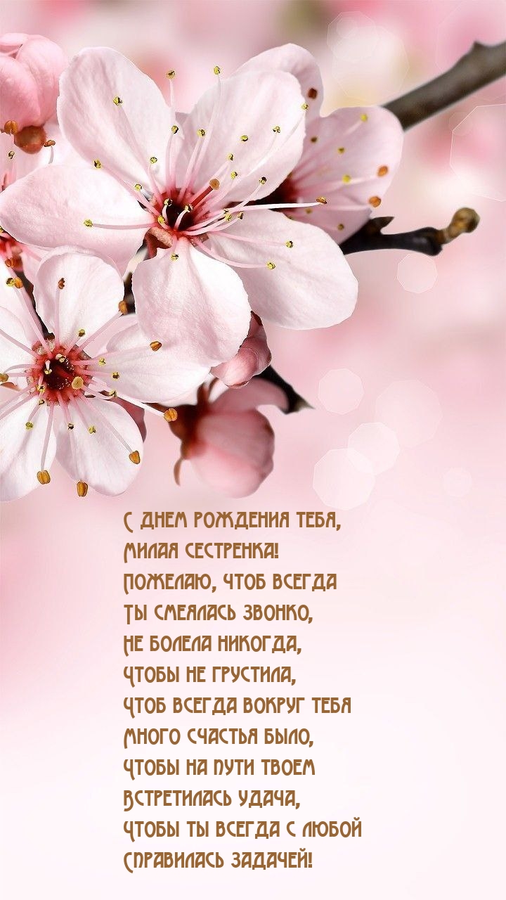 С днем рождения, милая сестренка! Чтоб всегда Ты смеялась звонко