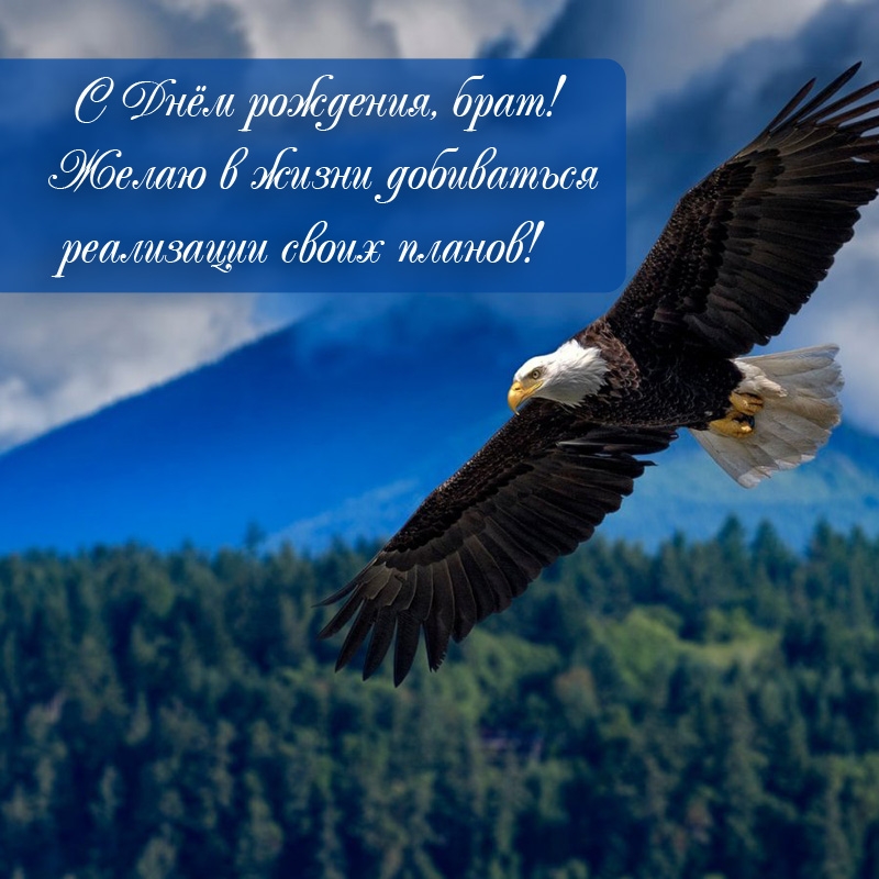 С Днём рождения, брат! Желаю в жизни реализации своих планов!