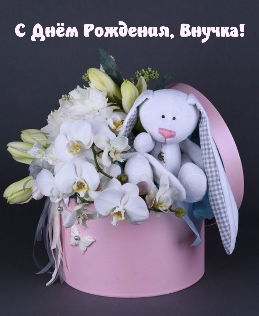 С Днём Рождения, Внучка!