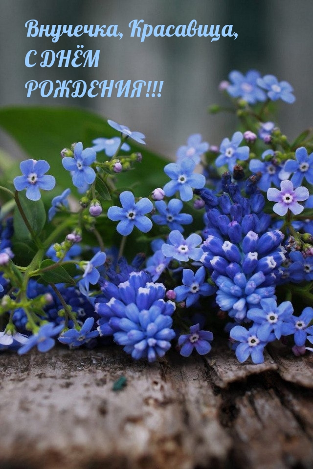 Внучечка, Красавица, с днём рождения!