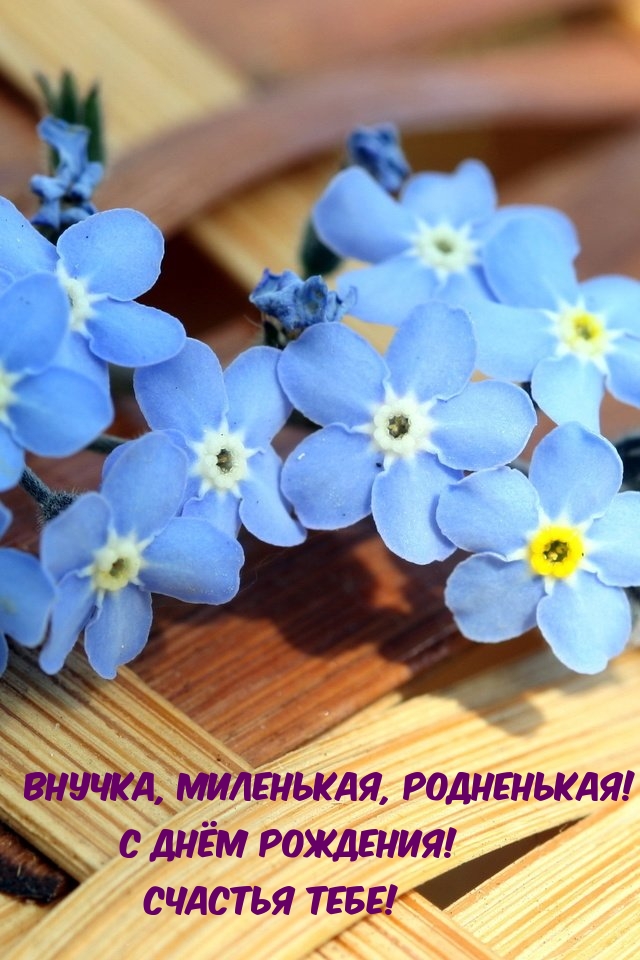Внучка, миленькая, родненькая! С Днём Рождения! Счастья тебе!
