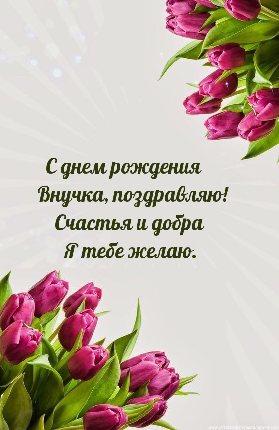 С днем рождения внучка, поздравляю!