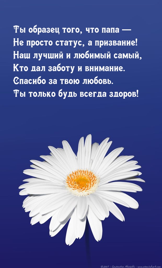 Ты образец того, что папа — Не просто статус, а призвание!