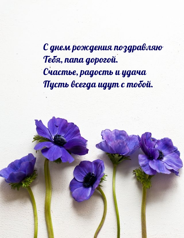 С днем рождения поздравляю Тебя, папа дорогой.