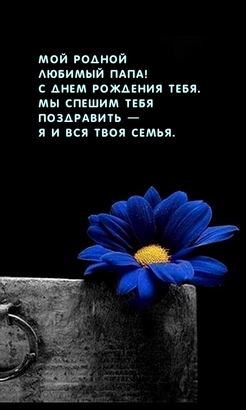 Мой родной любимый папа! С днем рождения тебя.