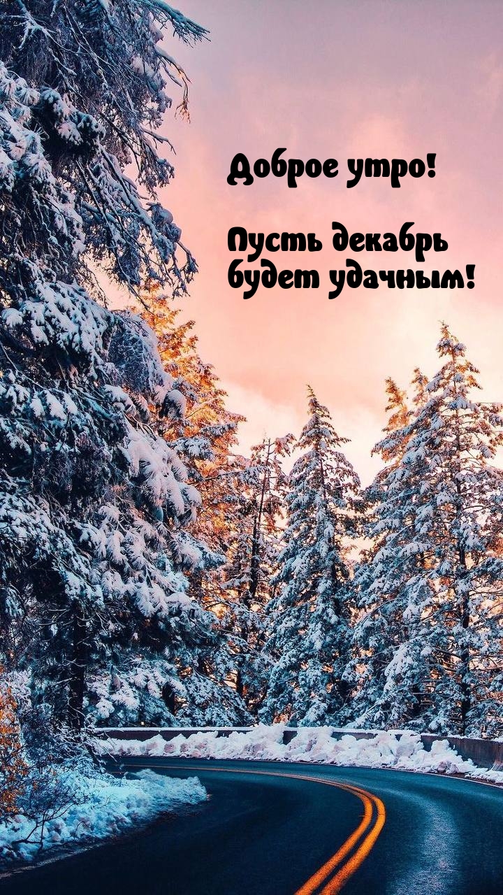 Доброе утро! Пусть декабрь будет удачным!