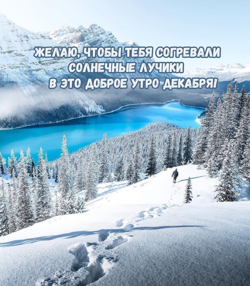 Чтобы согревали солнечные лучики в это доброе утро декабря!