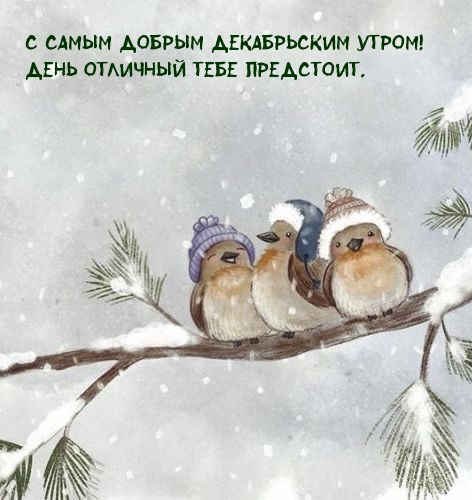 С самым добрым декабрьским утром! День отличный тебе предстоит.