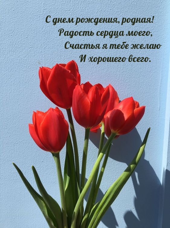 С днем рождения, родная! Радость сердца моего, счастья я желаю