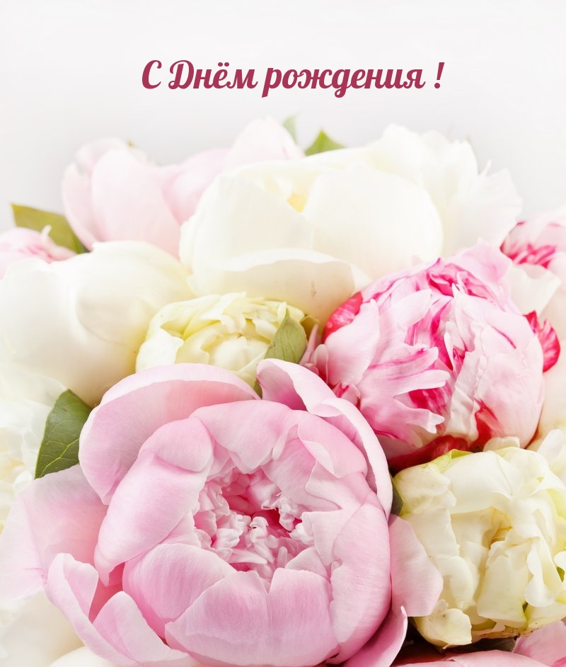 С Днём рождения!