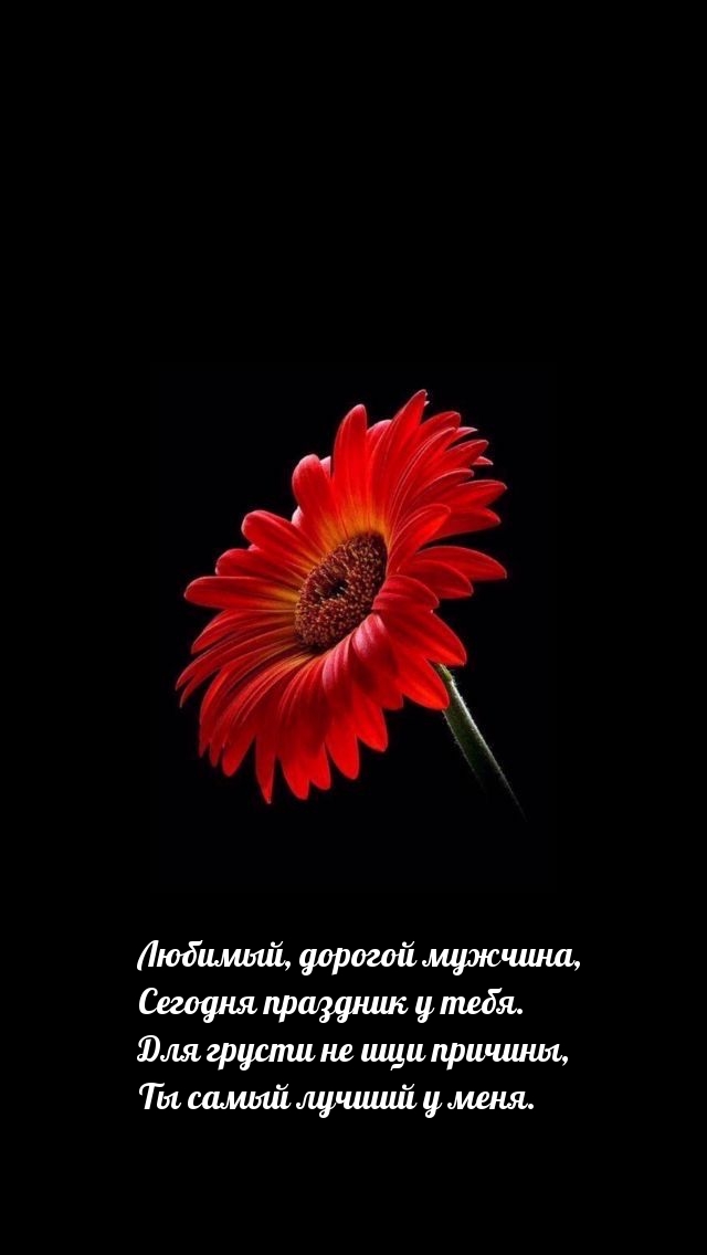 Любимый, дорогой мужчина, сегодня праздник у тебя.
