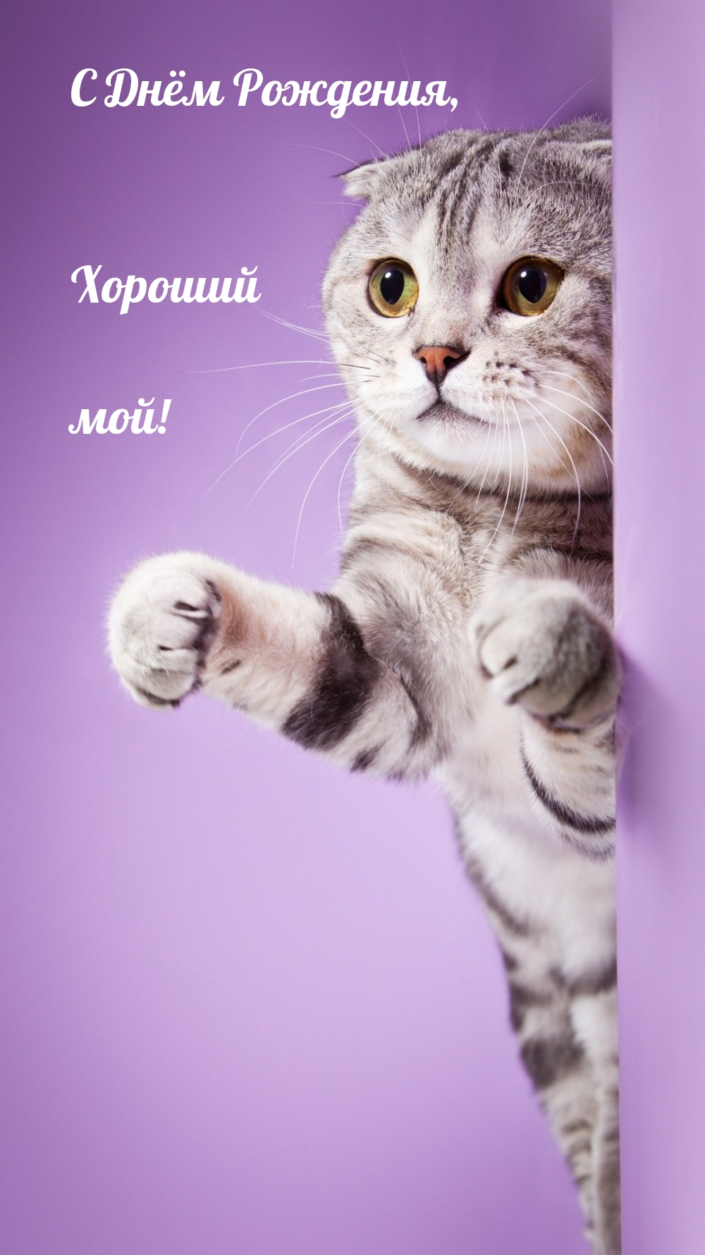 С Днём Рождения, Хороший мой!