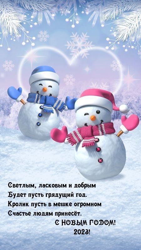 С Новым годом! 2023! Светлым, ласковым будет пусть грядущий год.
