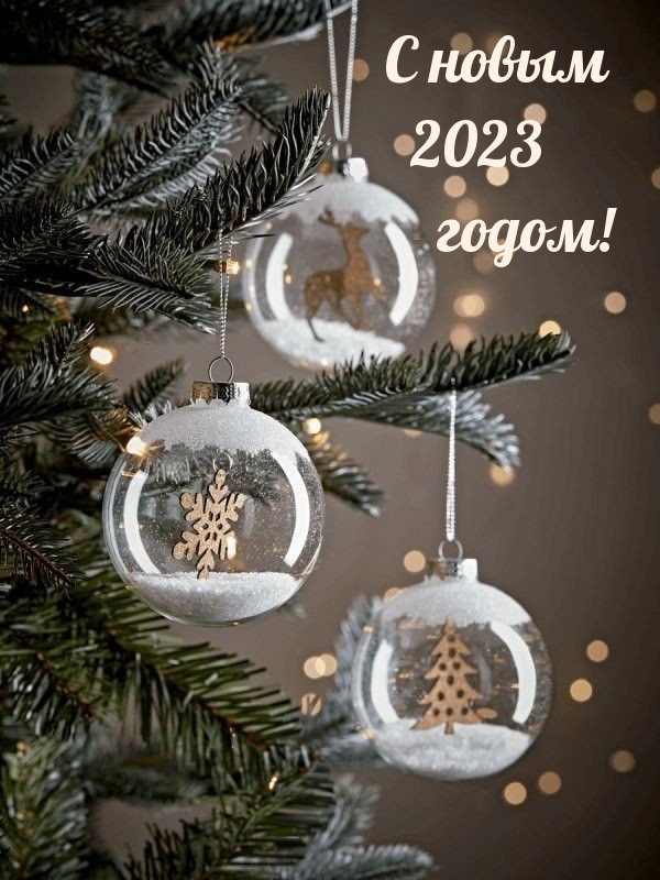 С новым 2023 годом!