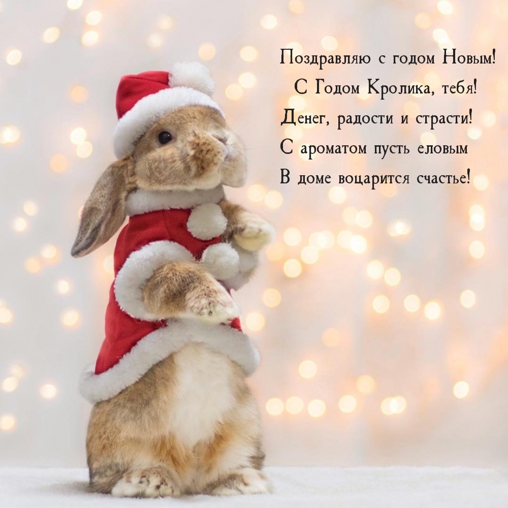 Поздравляю с годом Новым! С Годом Кролика, тебя!