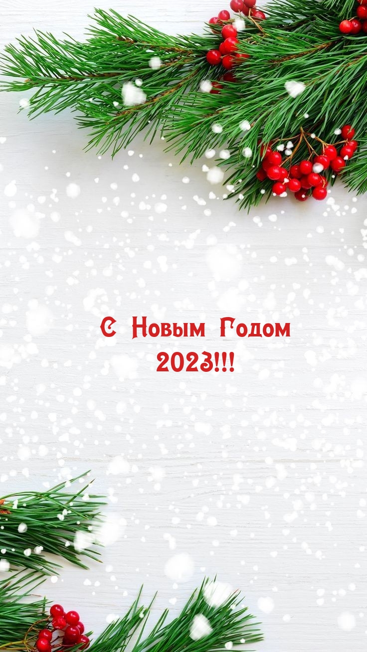 С Новым Годом 2023!