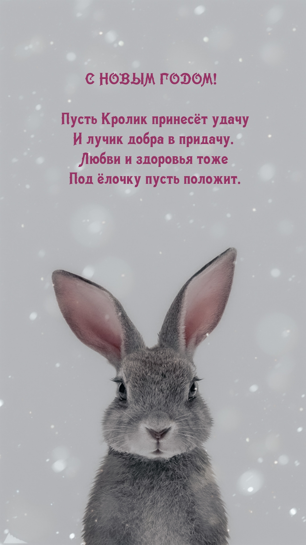 Пусть Кролик принесёт удачу и лучик добра в придачу.