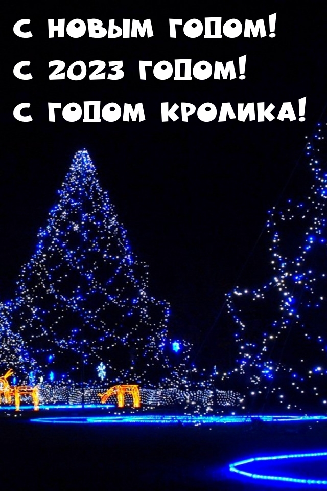 С новым годом! С 2023 годом! С годом кролика!