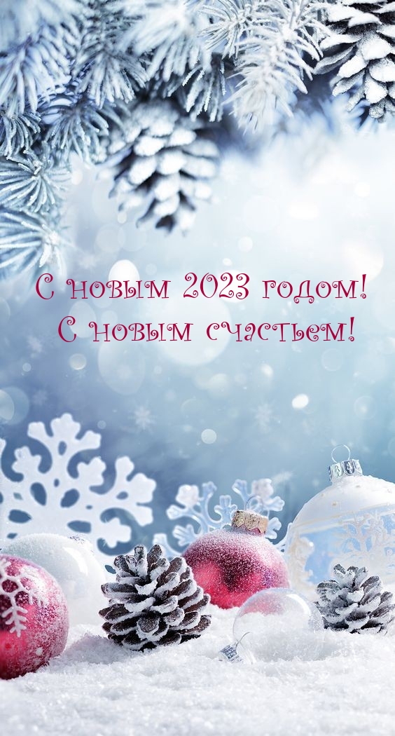 С новым 2023 годом! С новым счастьем!