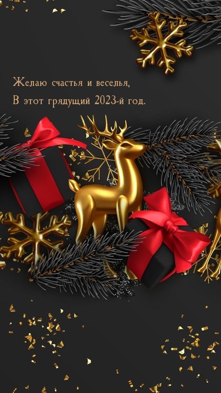 Желаю счастья и веселья, в этот грядущий 2023-й год.