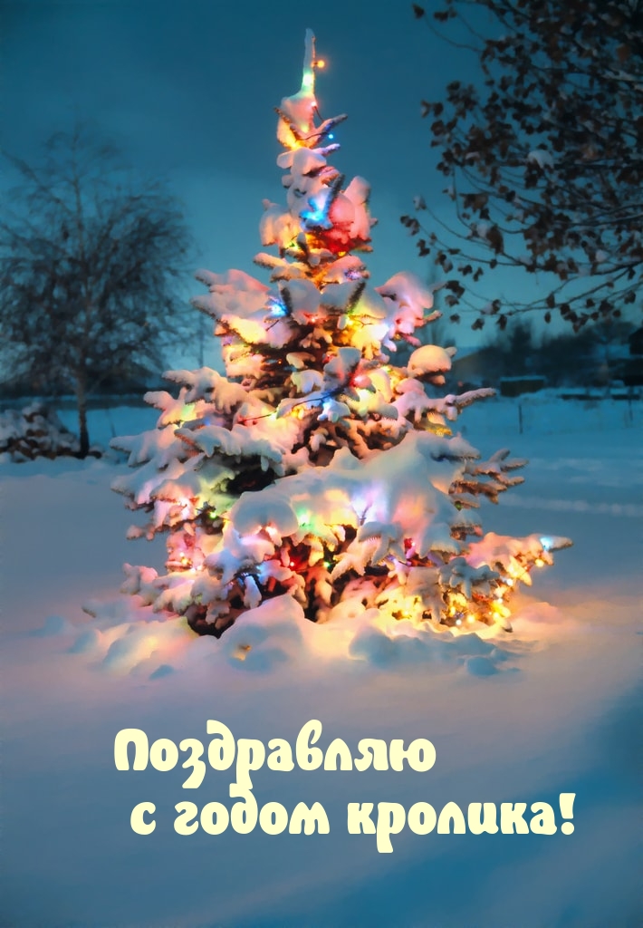 Поздравляю с годом кролика!