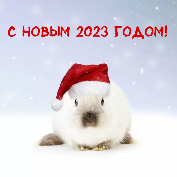 С новым 2023 годом!