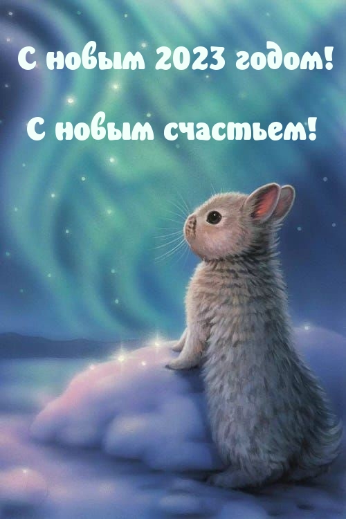С новым 2023 годом! С новым счастьем!