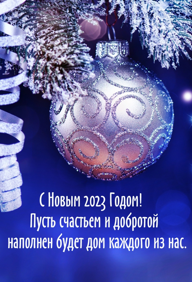 С Новым 2023 Годом! Пусть счастьем и добротой наполнен будет