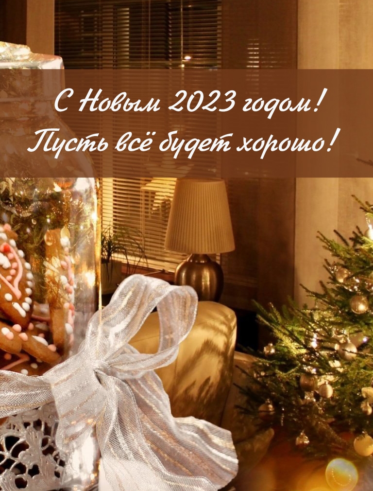 С Новым 2023 годом! Пусть всё будет хорошо!