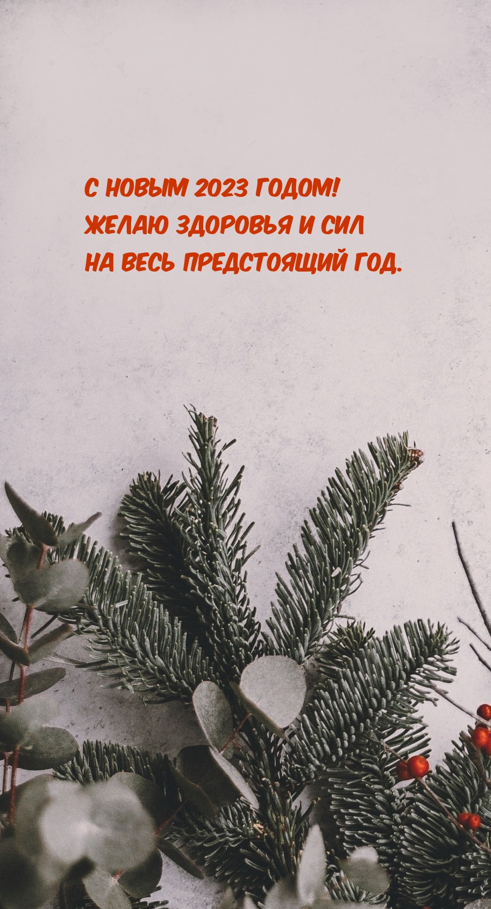 С Новым 2023 годом! Желаю здоровья и сил