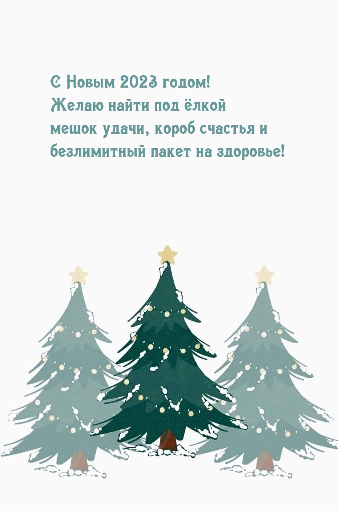 С Новым 2023 годом! Желаю найти под ёлкой мешок удачи