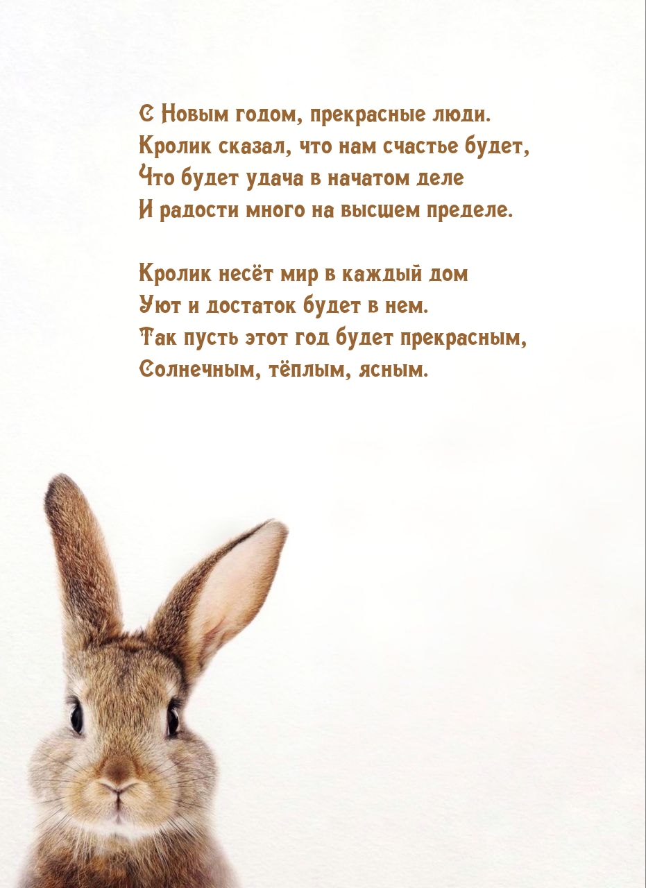 С Новым годом, прекрасные люди. Кролик сказал, что нам счастье будет