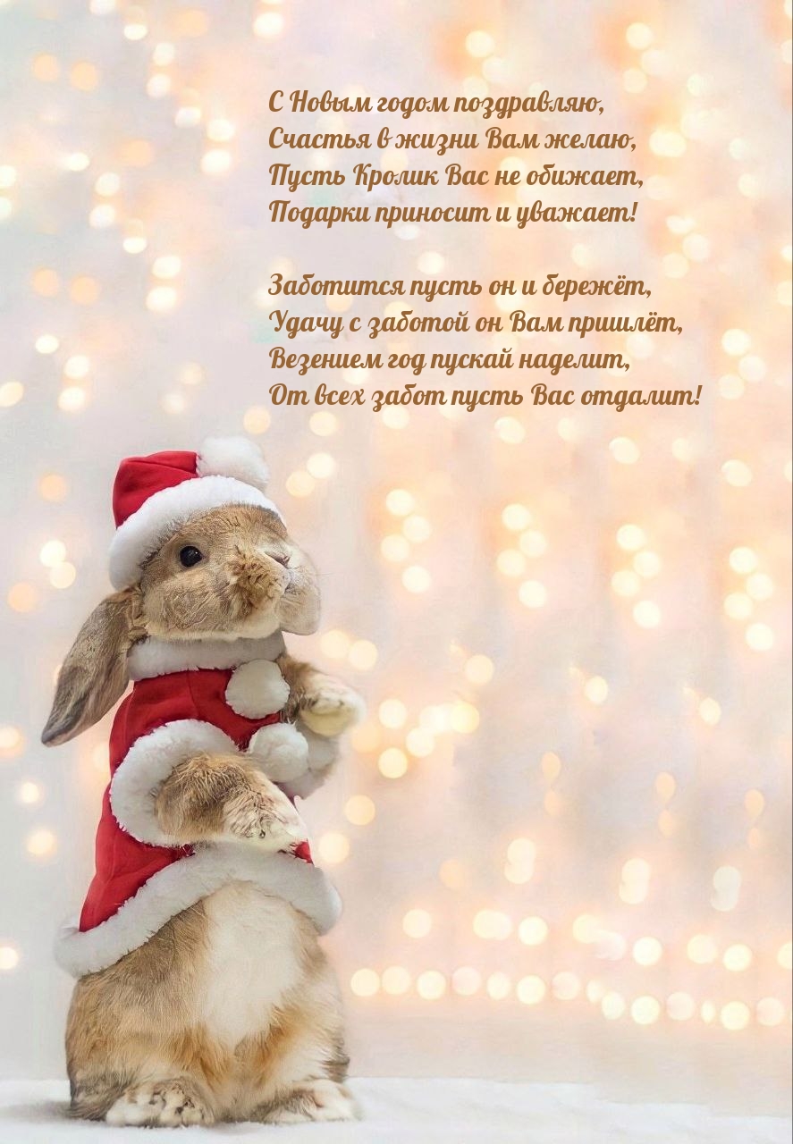 С Новым годом поздравляю, счастья в жизни Вам желаю