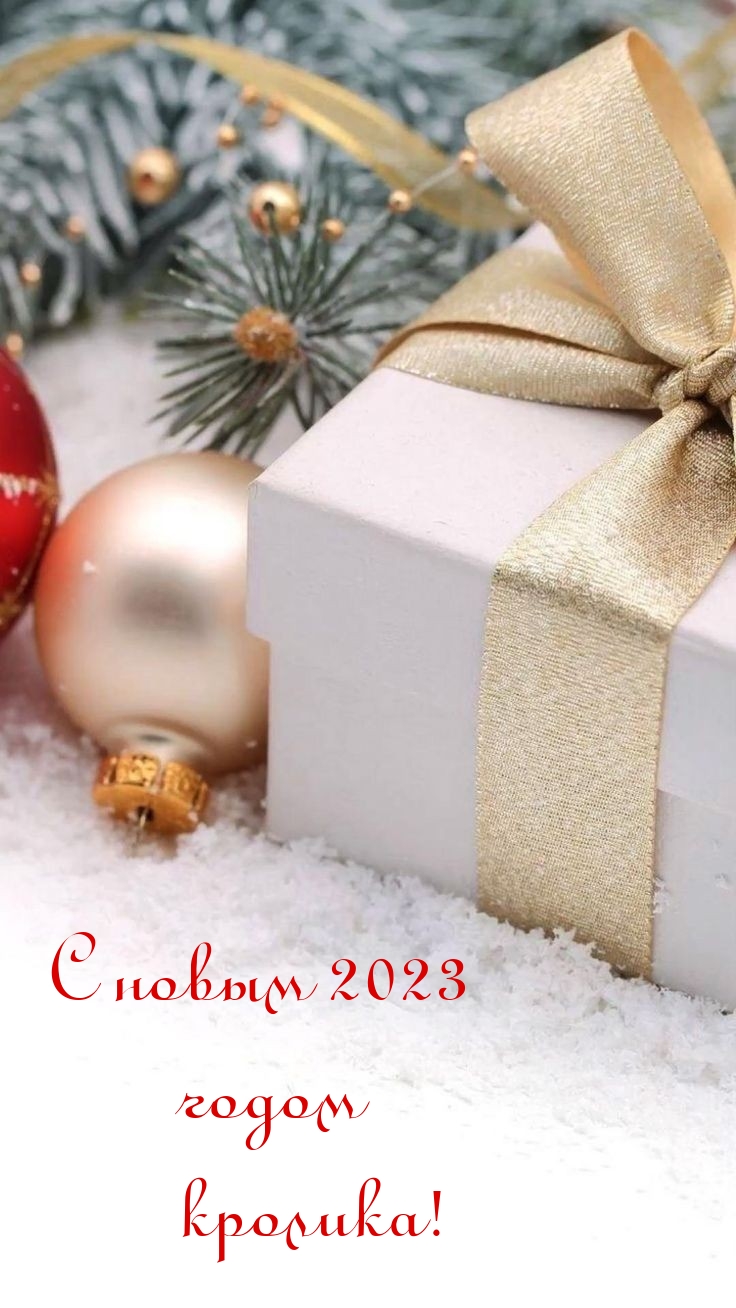 С новым 2023 годом кролика!