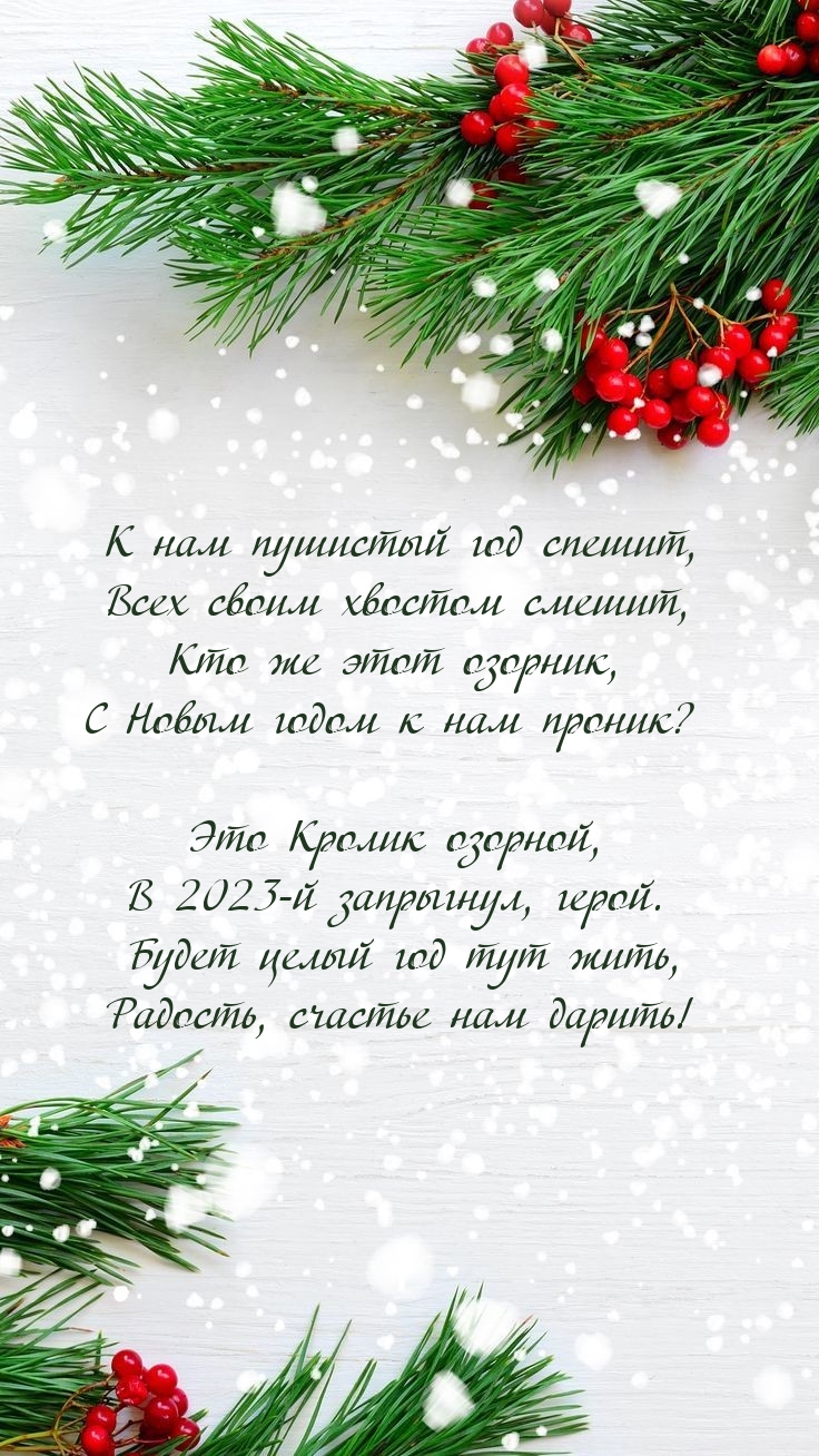 К нам пушистый год спешит В 2023-й запрыгнул, герой.