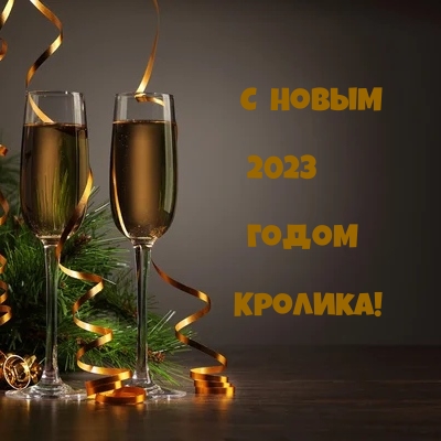 С Новым 2023 годом Кролика!