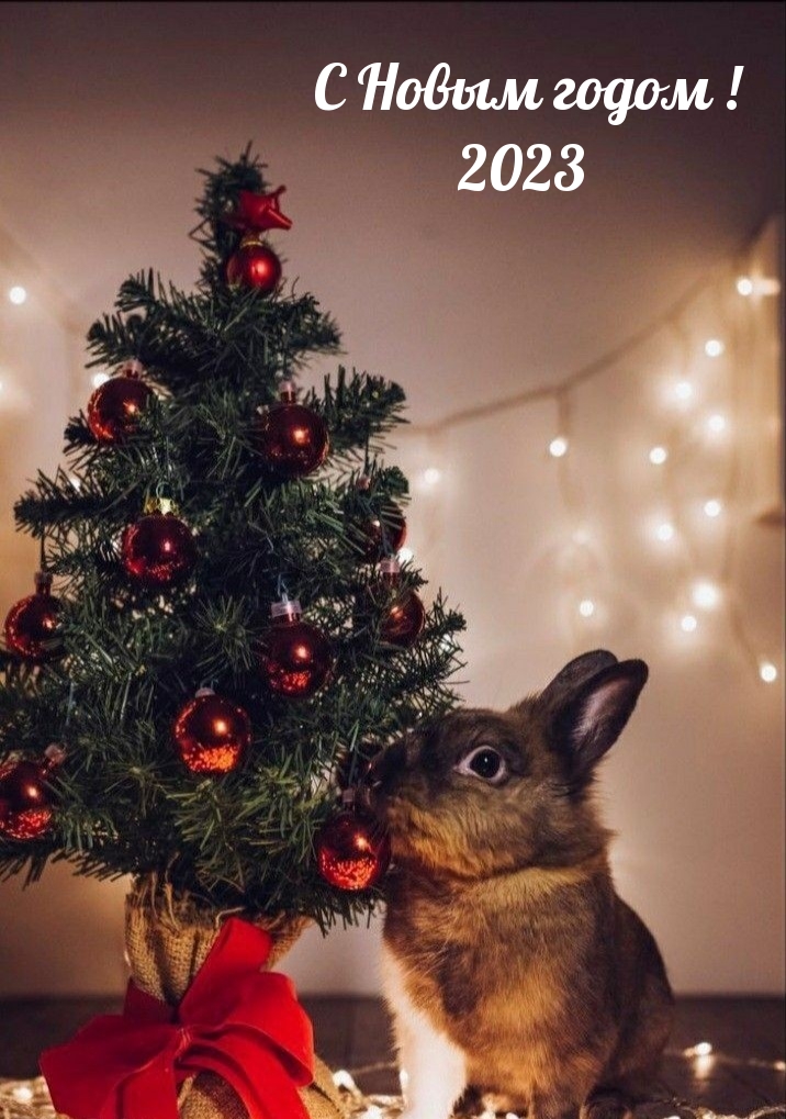 С Новым годом! 2023