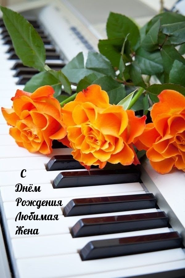С Днём Рождения Любимая Жена