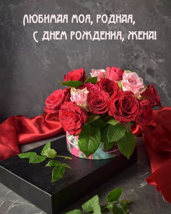 Любимая моя, родная, с днем рождения, жена!