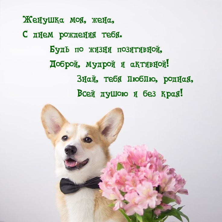 Женушка моя, жена, с днем рождения тебя.