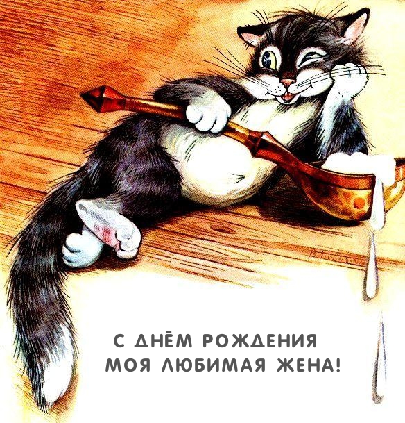 С Днём Рождения моя любимая жена!