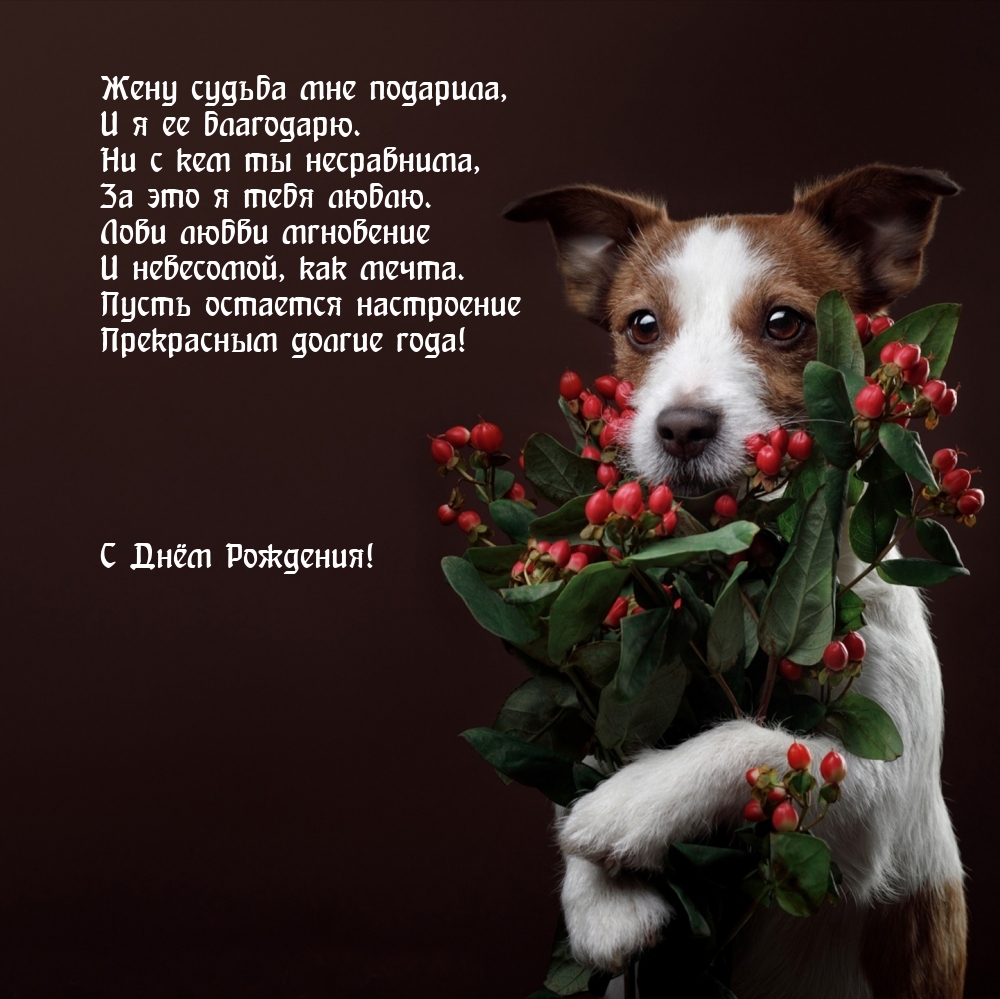 Жену судьба мне подарила, и я ее благодарю. С Днём Рождения!