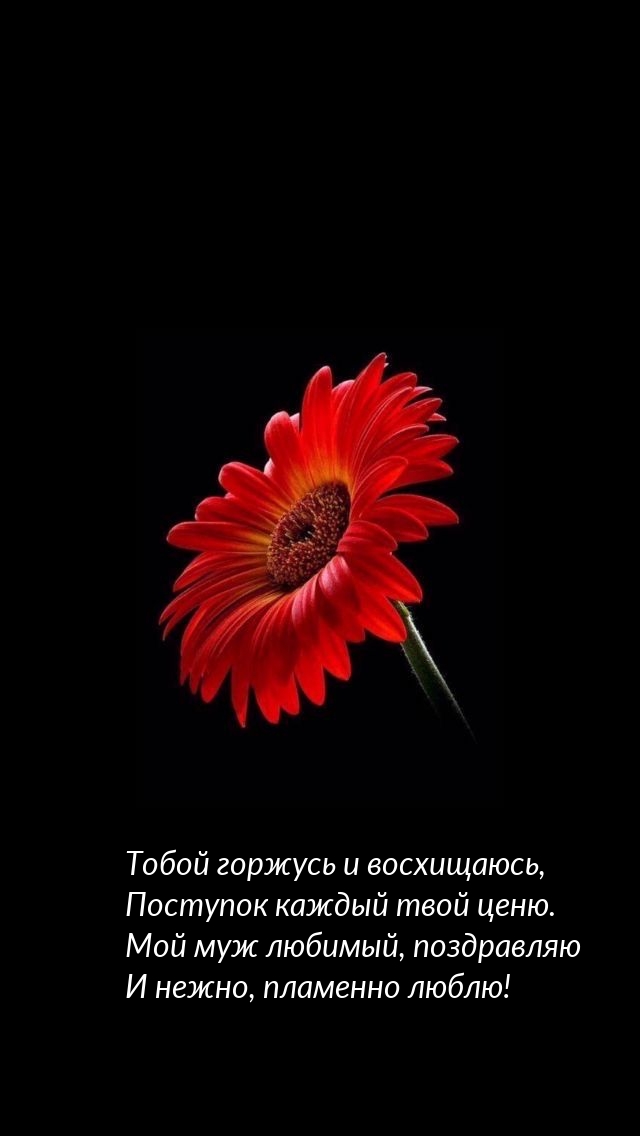 Мой муж любимый, поздравляю и нежно, пламенно люблю!