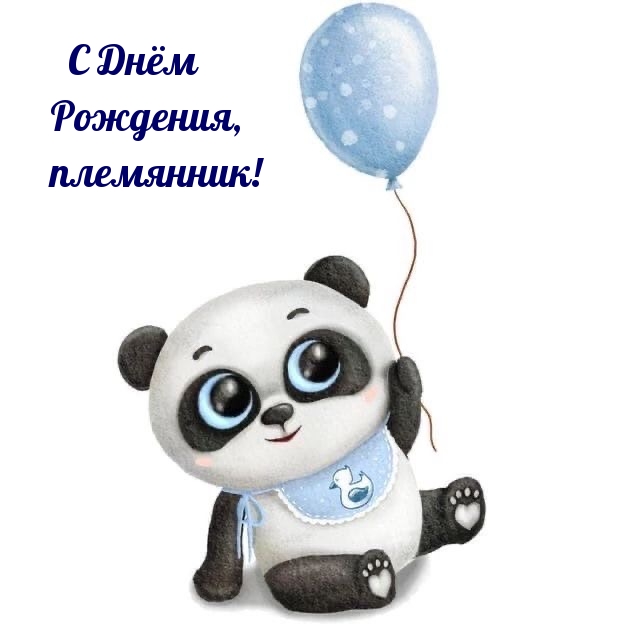 С Днём Рождения, племянник!